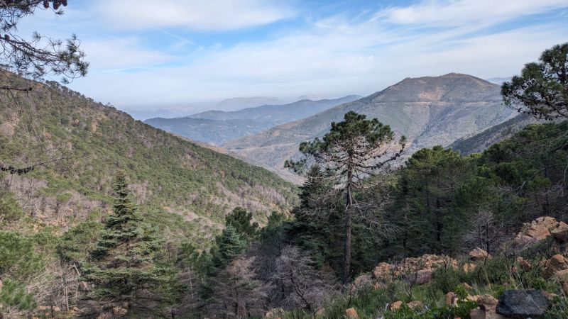 Imagen de WhatsApp 2024 02 07 a las 15.07.05 085327f7